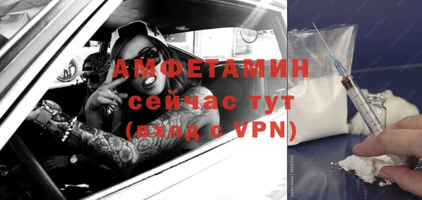гидра Алексин