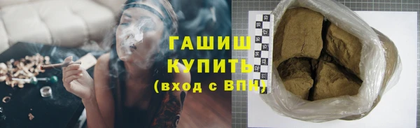 хмурый Аркадак