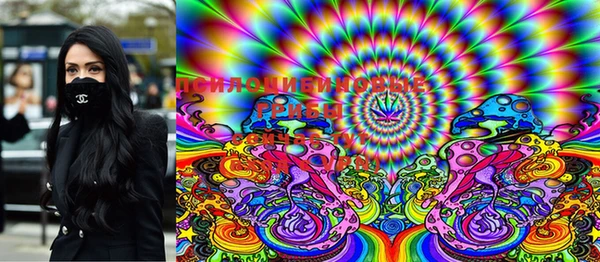 хмурый Аркадак