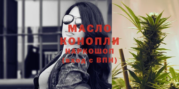 хмурый Аркадак