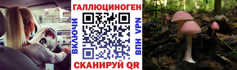 Псилоцибиновые грибы мицелий  Дыгулыбгей 